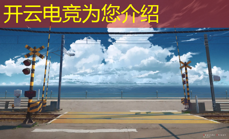 开云电竞为您介绍：组织老年人打电竞活动