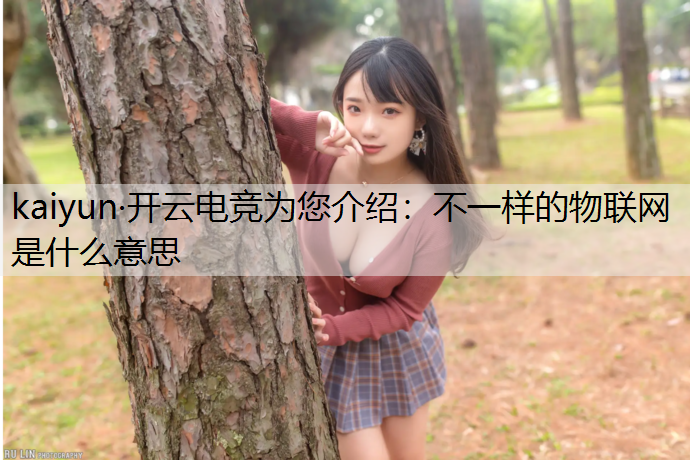 不一样的物联网是什么意思